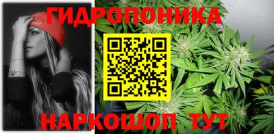 тгк Краснодар