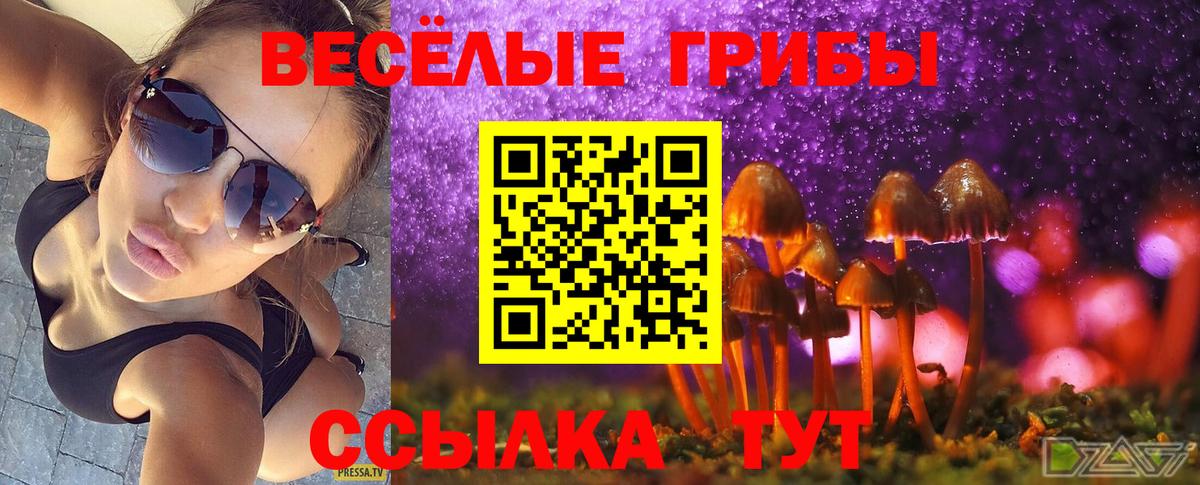 дарнет шоп  Вход с VPN  Сургут  Галлюциногенные грибы ЛСД  Псилоцибиновые грибы Cubensis 