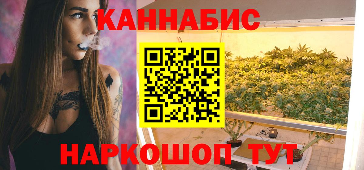 Бошки марихуана OG Kush Сургут